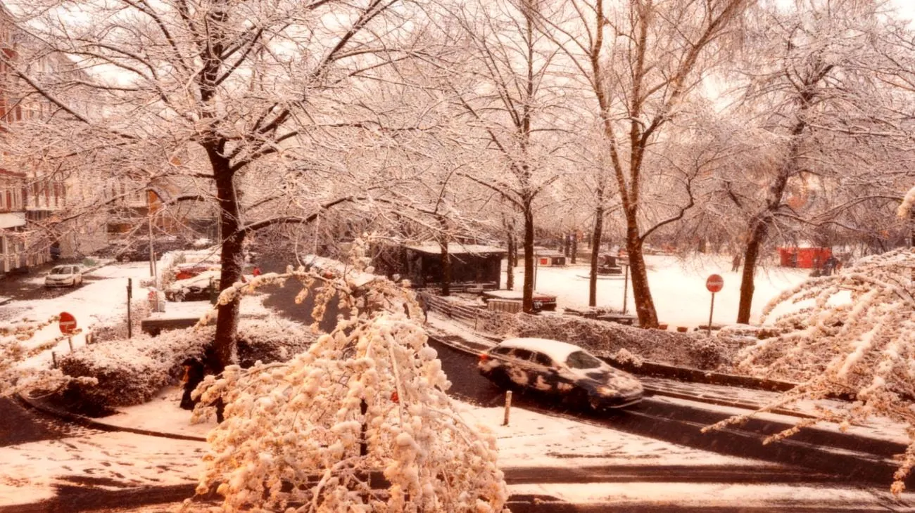 10.000 Suchanfragen in 4 Stunden: Das steckt hinter der Wintereinbruch-Panik 2025-11-07T11:39:44.434Z"