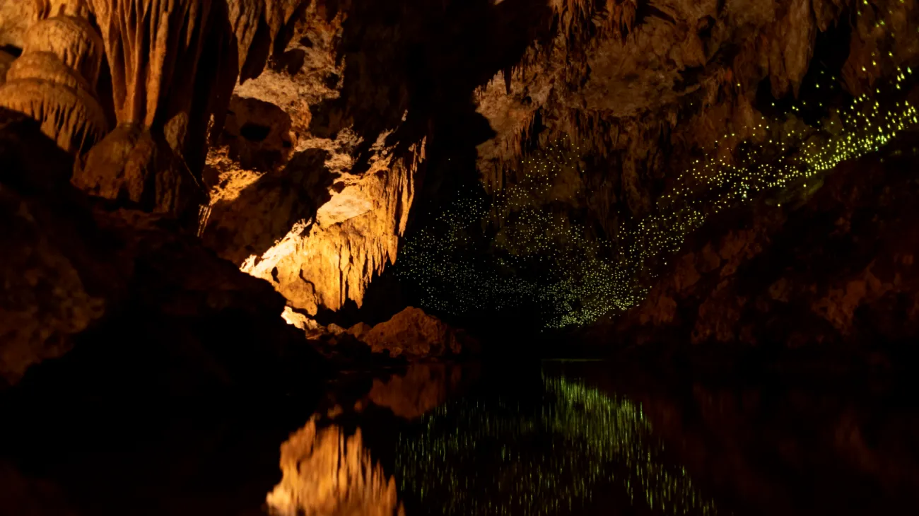 Waitomo Caves"